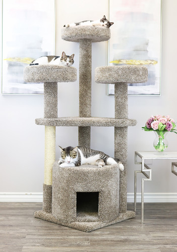 Maine Coon Cat House – Spacious Carpeted Cat Condo for Big Cats -Handcrafted Wood Furniture