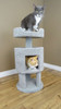 Premier Contemporary Cat House with multiple cats