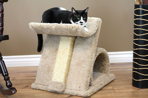 虎ネイバーフッド　NHRJ .SCRATCH / FOFOS Fruity Cat Scratching Tower – Purrfect Pet Supplies