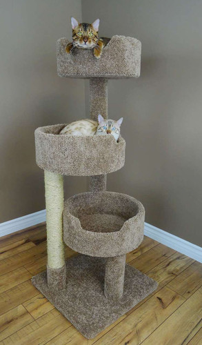 New Cat Condos Premier Cat Scratch and Lounge 