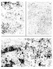 free distressed svg file ikonart reusable stencil