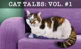 Cat Tales: Stories Of The Cat