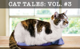 Cat Tales Vol. III