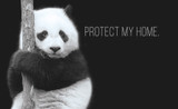 Protect Partner Profile: Pandas International