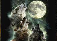 Happy Birthday Three Wolf Moon T-Shirt!