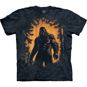 Hidden Legend Classic Cotton T-Shirt