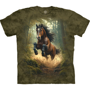 トップス house on the hill L/S Tee (Brown Horse) The Mountain Find 15 Horses Equine Appaloosa Paint T-Shirt Adult