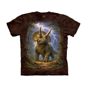 Triceratops Storm Kids' T-Shirt