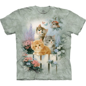 Curious Kittens Classic Cotton T-Shirt