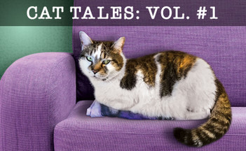 Cat Tales: Stories Of The Cat