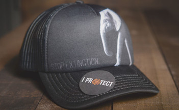 We're Introducing The New Protect Line