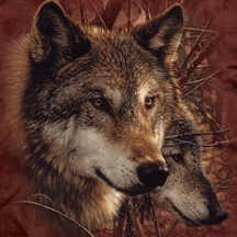 Behind the Artwear with Wildlife T-Shirt Artist Collin Bogle