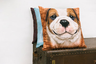 Mountain Home - Bringing Some Personality to Your Home Decor!