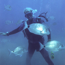 Behind the Artwear: David Penfound Is the Master of 3D T-Shirts