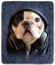 Bonjour to Manny the Frenchie!