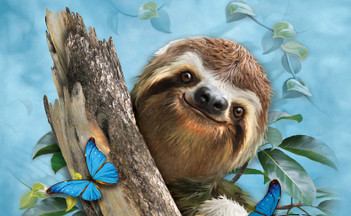 Gift Guide for Dads & Grads