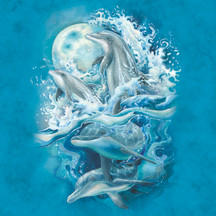 The Mountain Celebrates National Dolphin Day