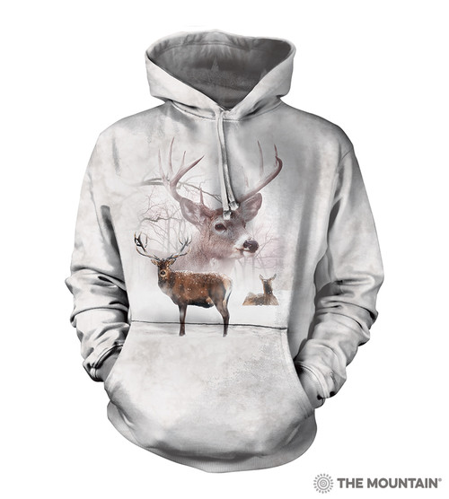 Wintertime Deer