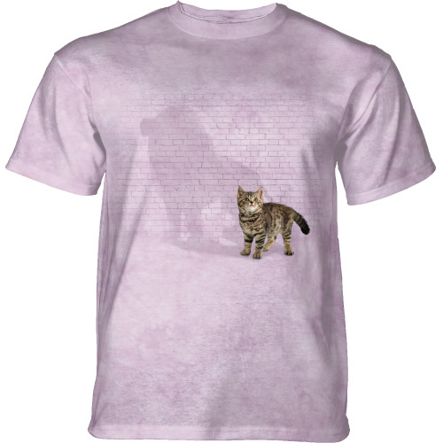 Shadow of Power Pink Triblend T-Shirt