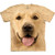 Big Face?« Golden Classic Cotton T-Shirt