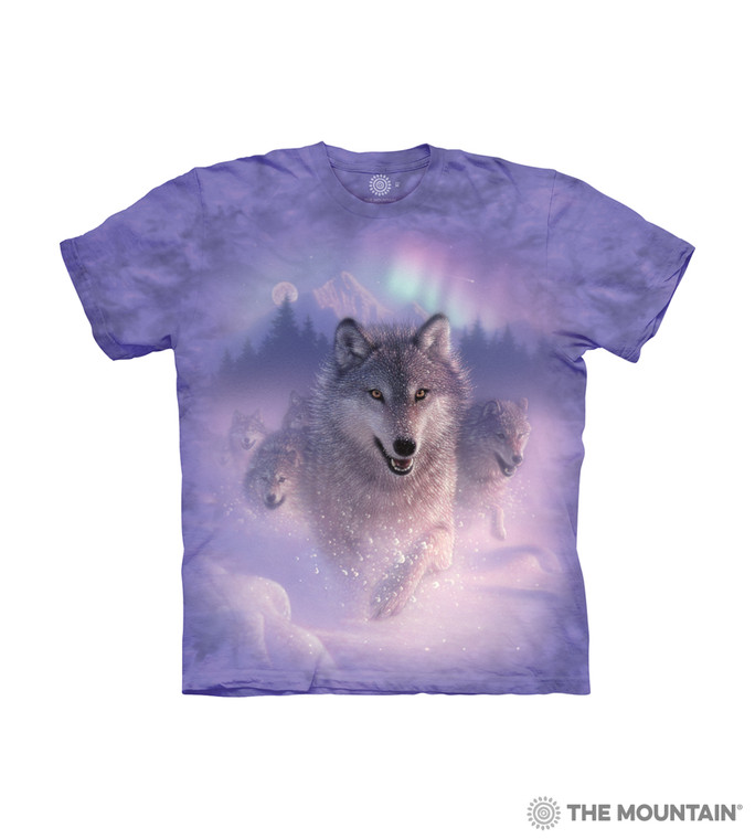 Northern Lights Kids' T-Shirt