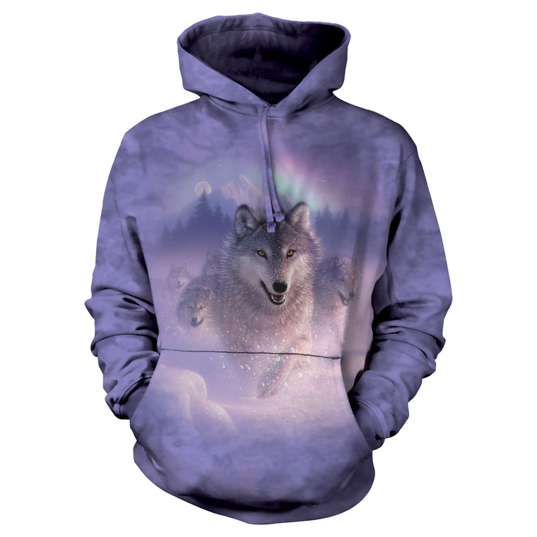 Northern Lights Classic Hoodie Sweatshirt