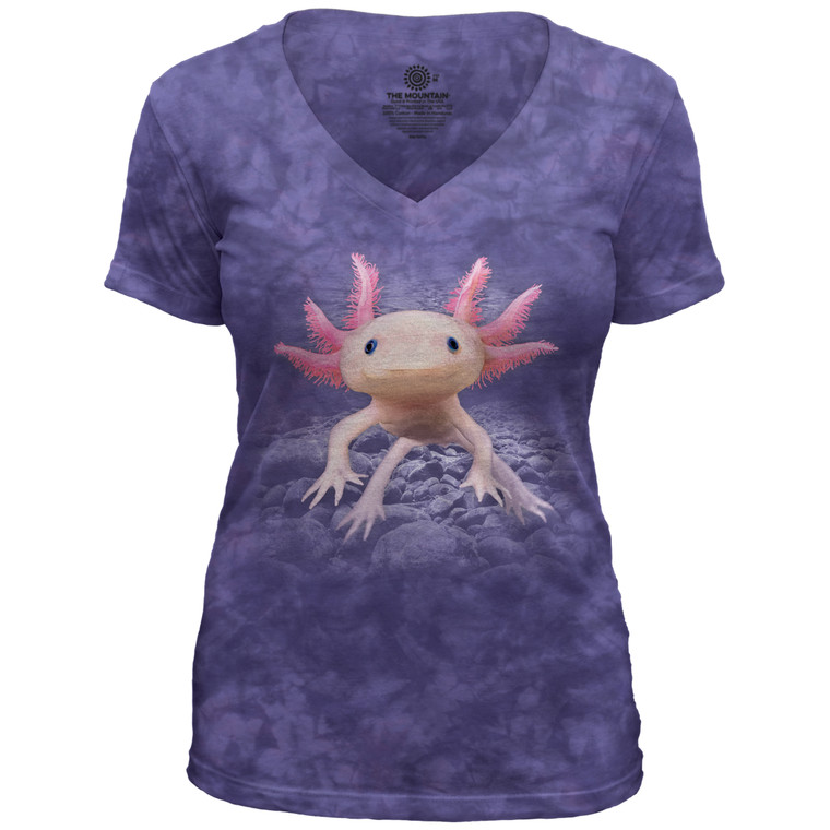 Axolotl Women's V-Neck Purple Triblend Tee