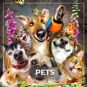 Pets Collection