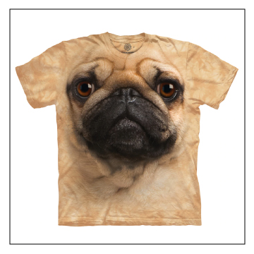 The Mountain Apparel