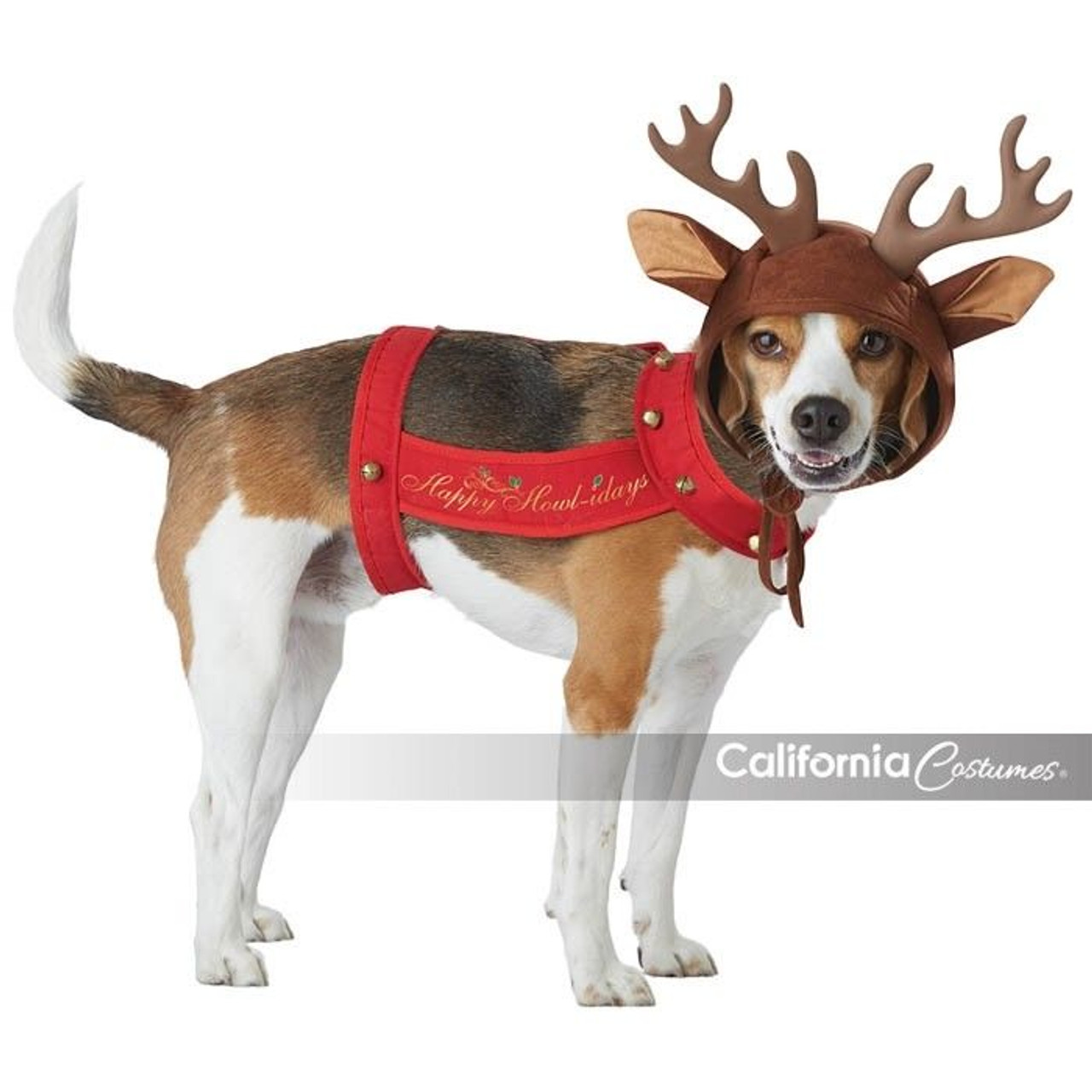 dog christmas apparel