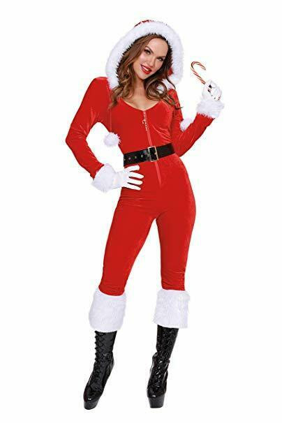 Dreamgirl Ms Mrs Claus Santa Adult 