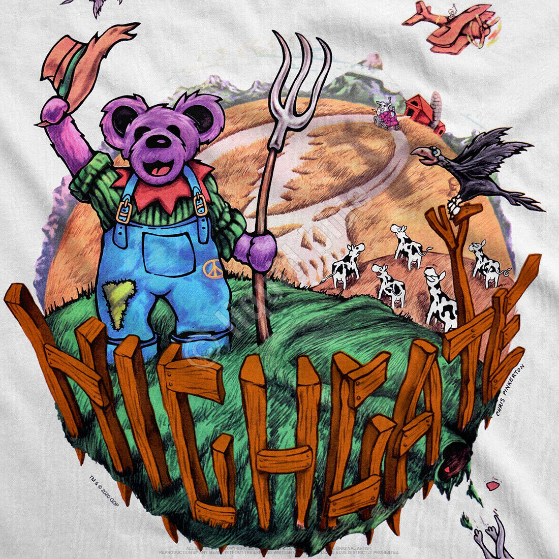 Grateful Dead Highgate Vermont Classic Rock Music Band Final Tour T