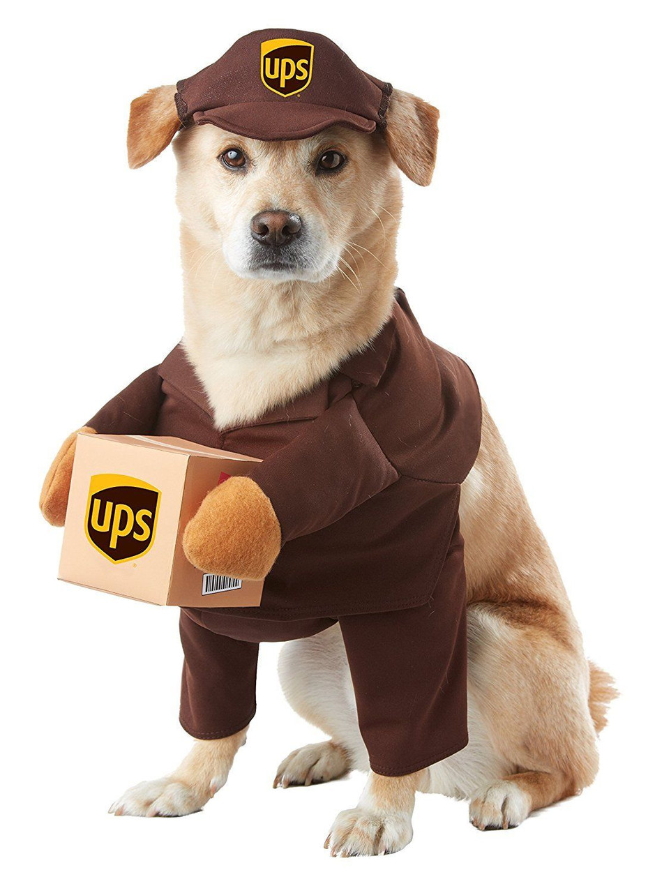 toy dog halloween costumes