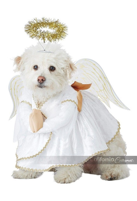 California Costumes Heavenly Hound Dog Angel Pet Halloween Costume PET20153 California Costumes Heavenly Hound Dog Angel Pet Halloween Costume PET20153