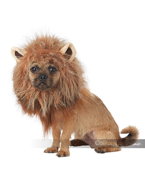 California Costumes King Of The Jungle Lion Dog Pet Halloween Costume PET20166 California Costumes King Of The Jungle Lion Dog Pet Halloween Costume PET20166