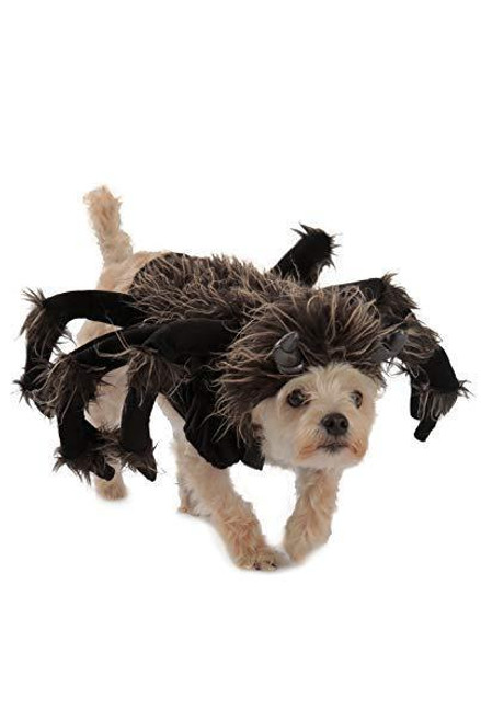Princess Paradise Tarantula Dogs Pets Spiders Spooky Halloween Costume 14294 Princess Paradise Tarantula Dogs Pets Spiders Spooky Halloween Costume 14294