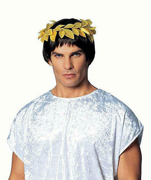 Costume Culture Roman Greek God Wreath Gold Halloween Costume Accessory 322313 Costume Culture Roman Greek God Wreath Gold Halloween Costume Accessory 322313