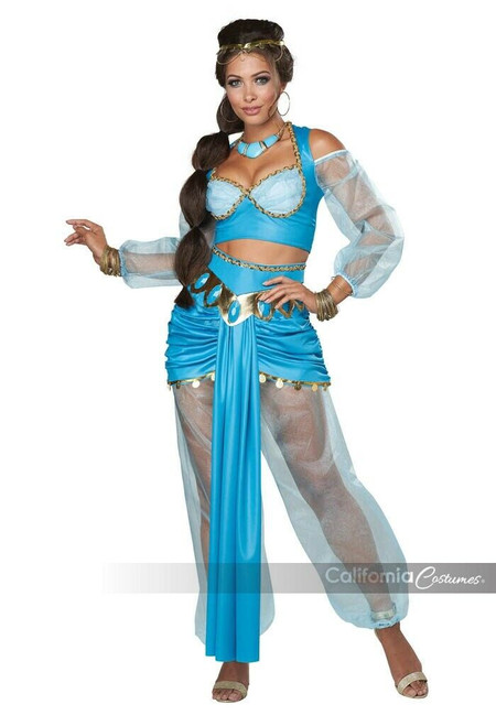 princess jasmine fancy dress costume adults Women's Disney Aladdin Jasmine Deluxe Costume