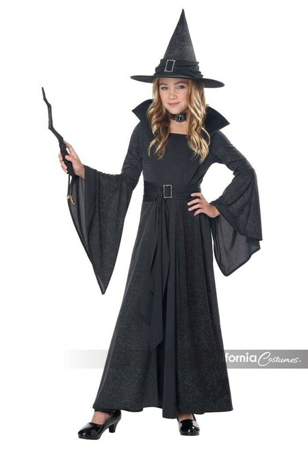 California Costumes Moonlight Shimmer Witch Childrens Halloween Costume 00493 California Costumes Moonlight Shimmer Witch Childrens Halloween Costume 00493