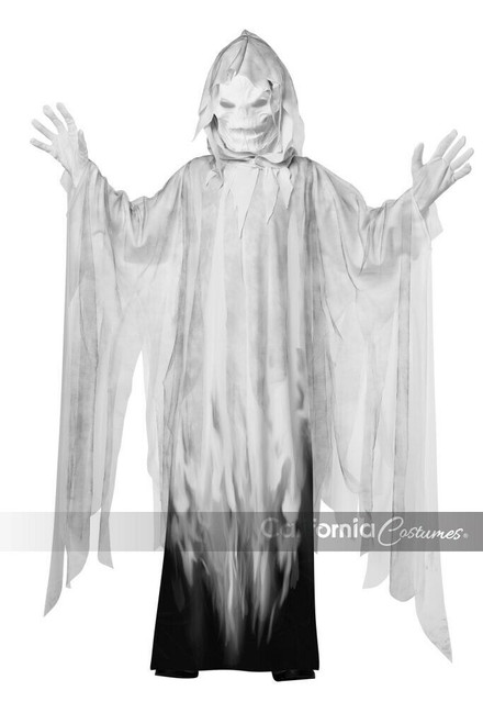 California Costumes Evil Spirit Ghost Spooky Childrens Halloween Costume 00395 California Costumes Evil Spirit Ghost Spooky Childrens Halloween Costume 00395