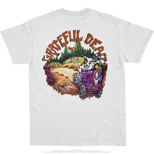 Grateful Dead - Highgate Tie Dye Mens T Shirt, 2XL / Multi