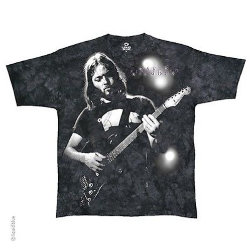 David Gilmour Tシャツ 2XL PINKFLOYD バンドT David Gilmour Tシャツ 2XL PINKFLOYD バンドT