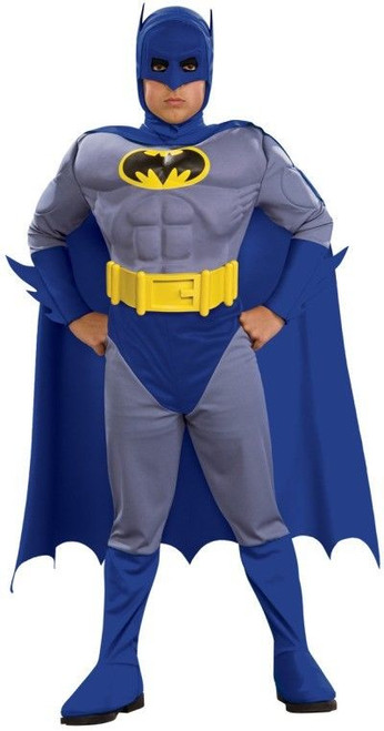 Rubies Deluxe Batman Muscle Chest Joker Kids Boys Halloween Costume 883482 Rubies Deluxe Batman Muscle Chest Joker Kids Boys Halloween Costume 883482