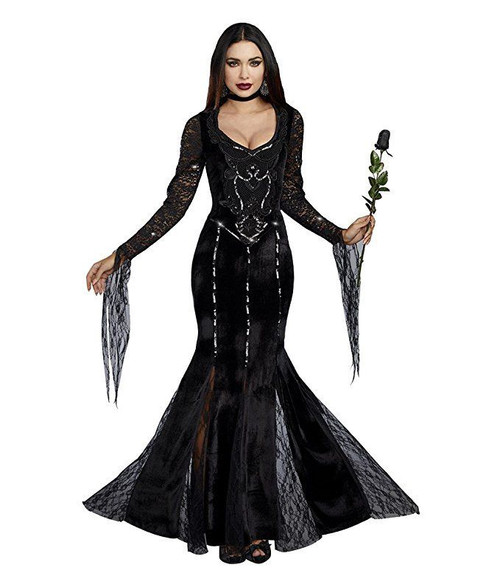 Dreamgirl Frightfully Beautiful Addams Adult Women's Halloween Costume 10639 Dreamgirl Frightfully Beautiful Addams Adult Women's Halloween Costume 10639