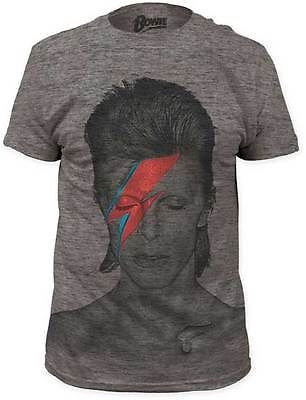 DAVID BOWIE ALADDIN SANE BIG PRINT SUBWAY MUSIC BAND ROCK MENS TEE SHIRT S-2XL