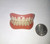 SECURE INSTANT SMILE False Cosmetic Teeth Veneer UPPER & LOWER SET Small 12199 SECURE INSTANT SMILE False Cosmetic Teeth Veneer UPPER & LOWER SET Small 12199