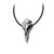 Alchemy England Gothic Helm of Awe Icelandic Raven Skull Pendant Necklace P687 Alchemy England Gothic Helm of Awe Icelandic Raven Skull Pendant Necklace P687