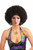 Forum Novelties Deluxe Unisex 70s Disco Brown Afro Wig Halloween Costume 65433