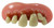 Billy Bob Big Cletus Tobacco Stains Fake Teeth Halloween Costume Accessory 10101