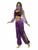 Smiffys Arabian Princess Genie Belly Dancer Adult Womens Halloween Costume 24702